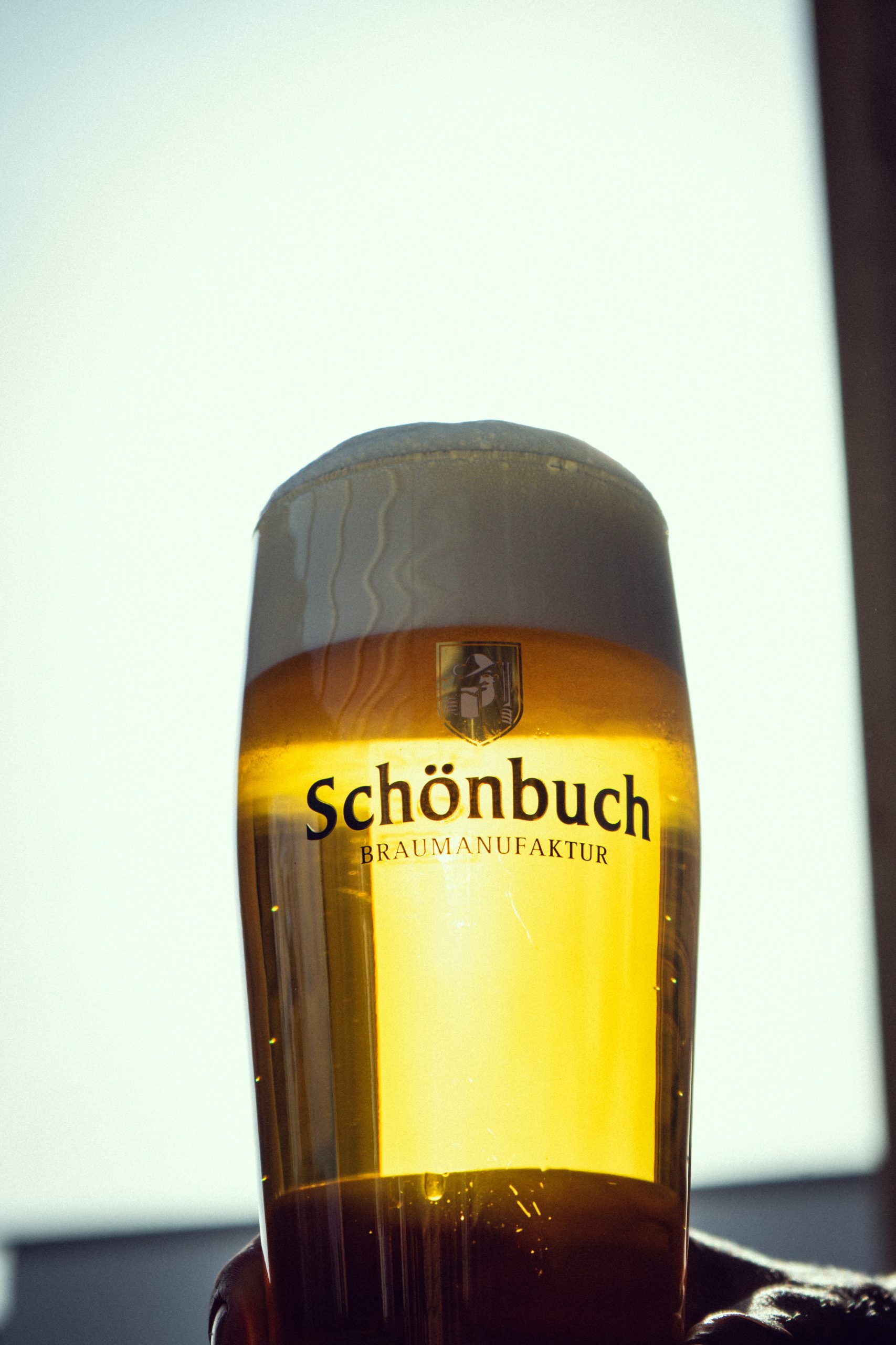 Nahaufnahme eines Bierglases mit Schönbuch-Logo und goldener Schaumkrone.